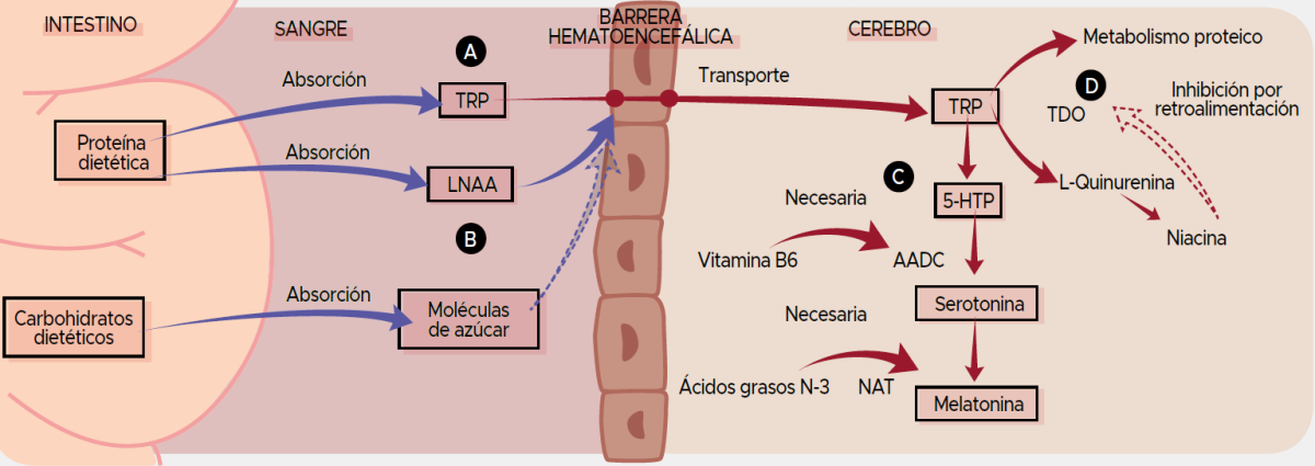 como-mejorar-el-descanso-nocturno