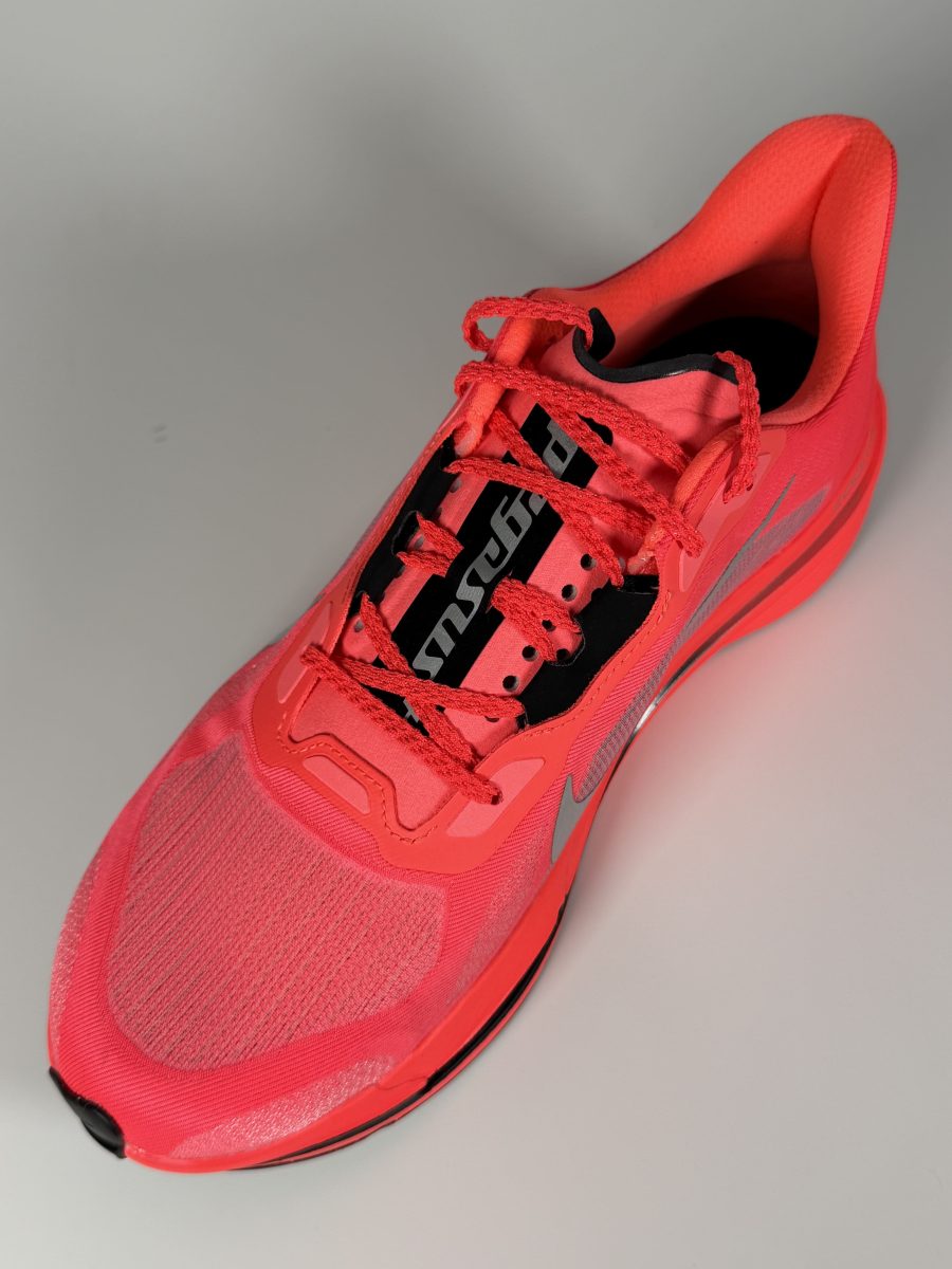 nike_pegasus_plus_2_review