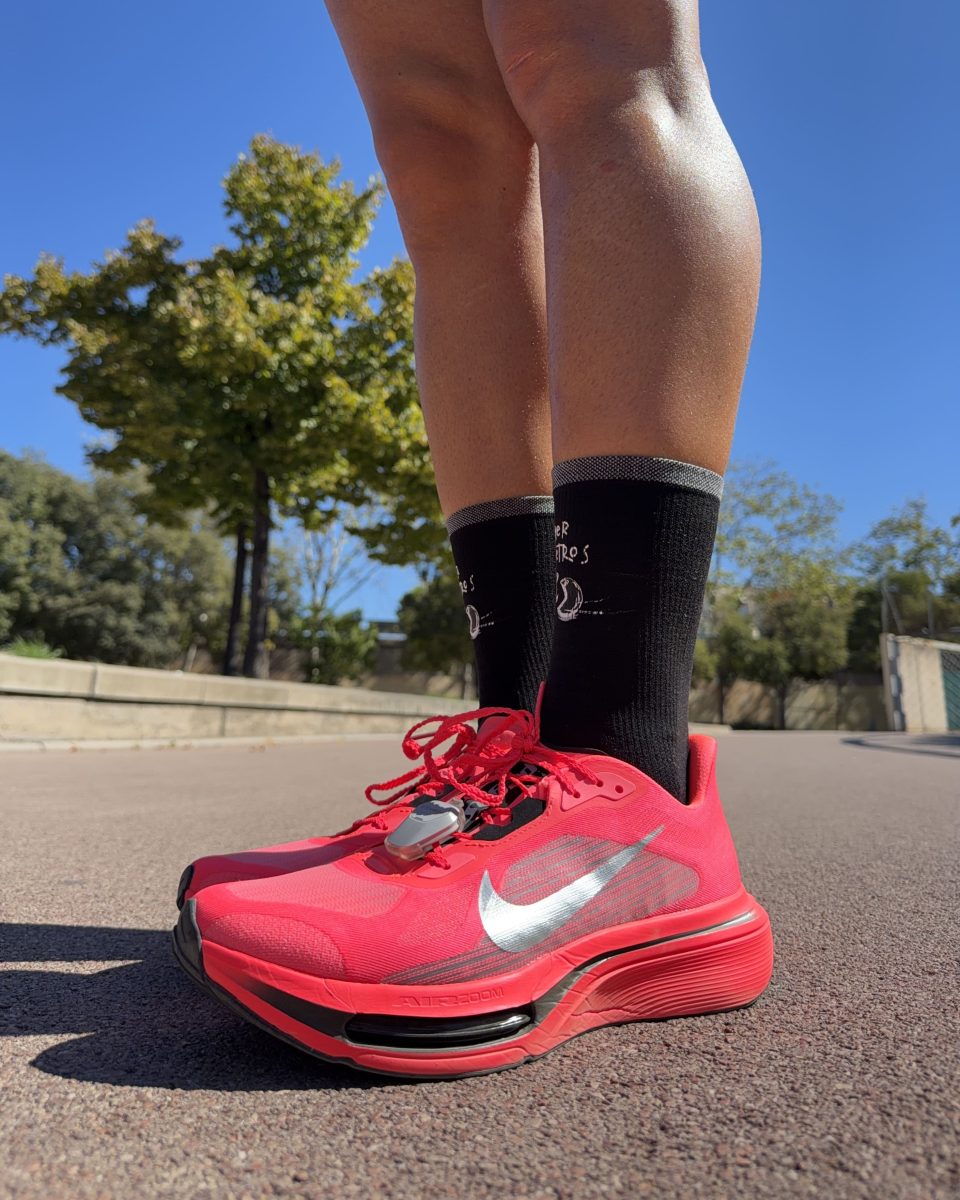 nike_pegasus_plus_2_review