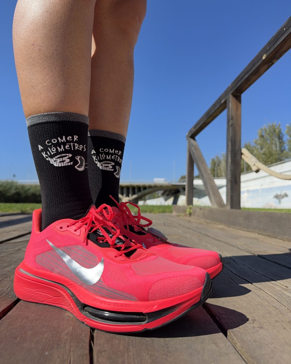 nike_pegasus_plus_2_review