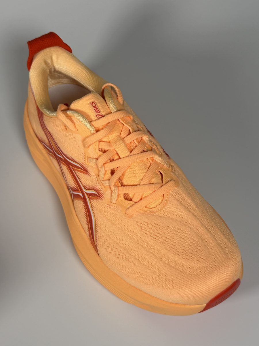 asics_gel_slowcush_review